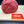 Load image into Gallery viewer, Local Wagyu Sirloin Tip Roast