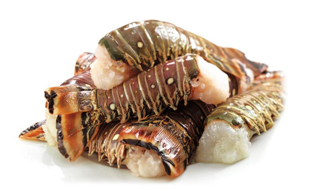 Rock Lobster Tail Edmonton & St Albert Butcher Shop D'Arcy's Meat