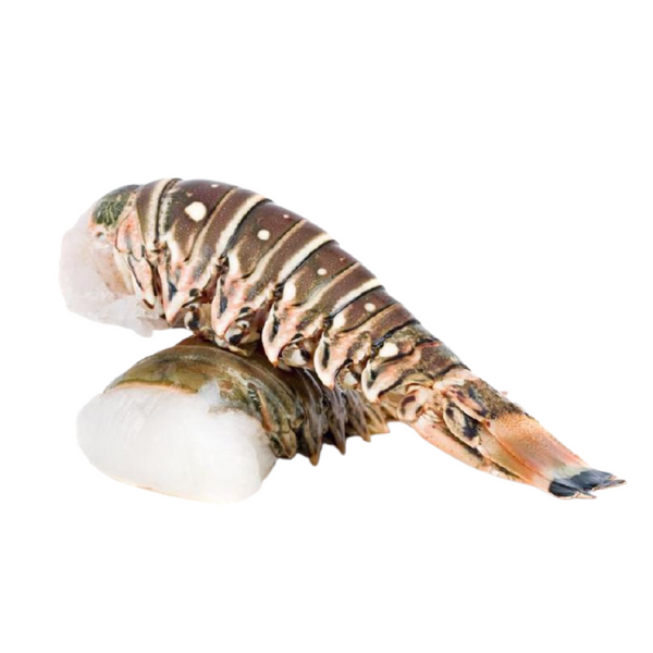 Rock Lobster Tail