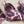 Load image into Gallery viewer, 1lb. Lamb Shanks