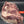 Load image into Gallery viewer, Whole AAA Beef Brisket