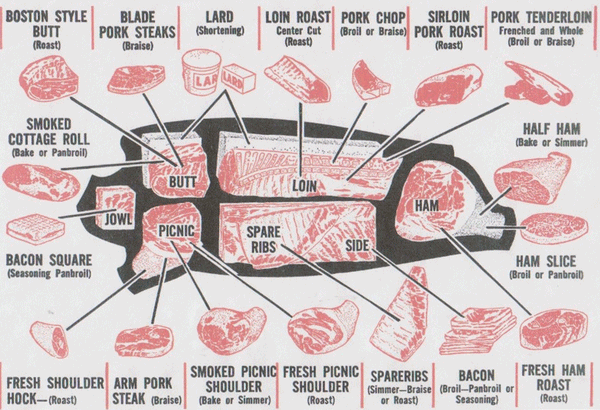 Diagram showing assorted pork cuts including pork belly slices and ribs.