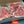 Load image into Gallery viewer, AAA T-Bone / Porterhouse Steak
