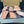 Load image into Gallery viewer, Atlantic Salmon
