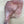 Load image into Gallery viewer, Duck Legs
