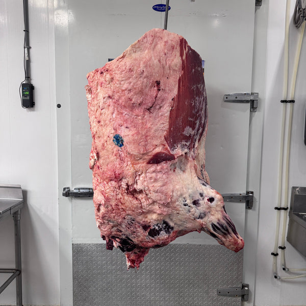 Front Quarter of Beef Deposit