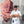 Load image into Gallery viewer, Front Quarter of Beef Deposit
