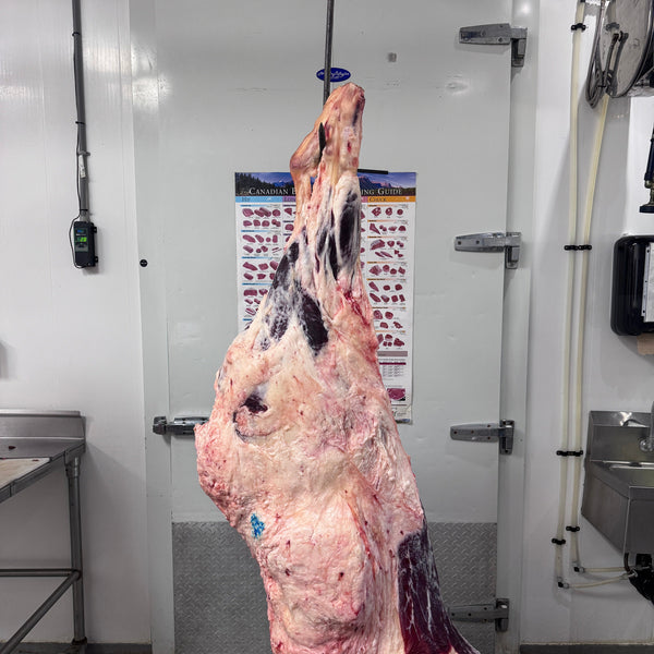 Hind Quarter of Beef Deposit