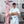 Load image into Gallery viewer, Hind Quarter of Beef Deposit
