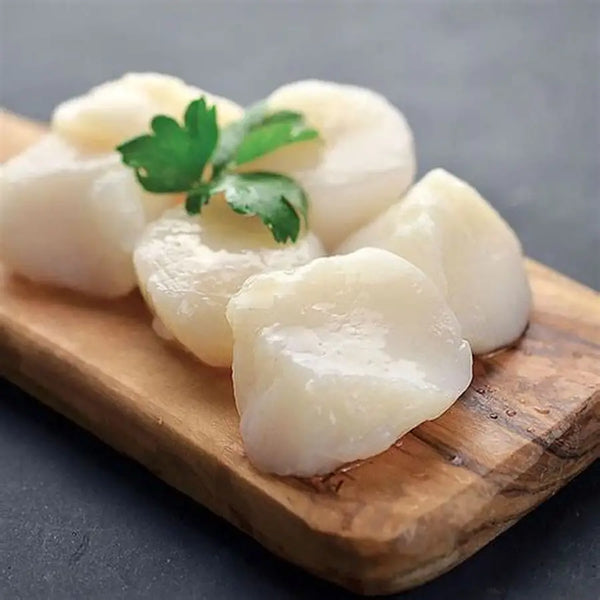 Scallops