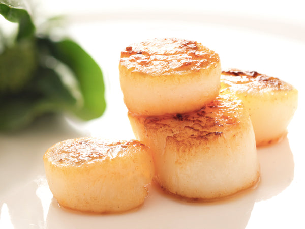 Scallops