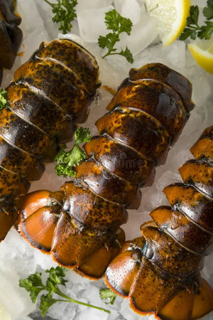 Rock Lobster Tail
